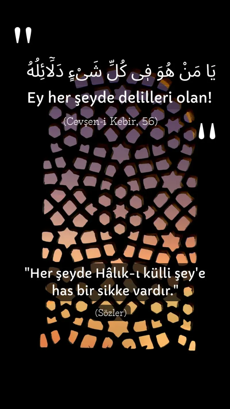 Vecize