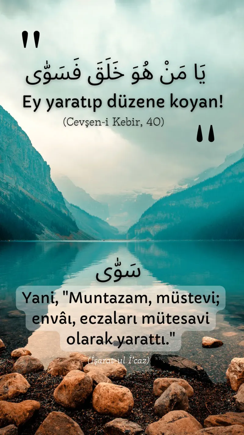 Vecize