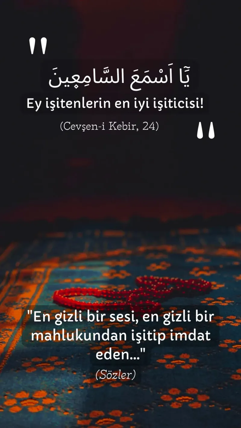 Vecize
