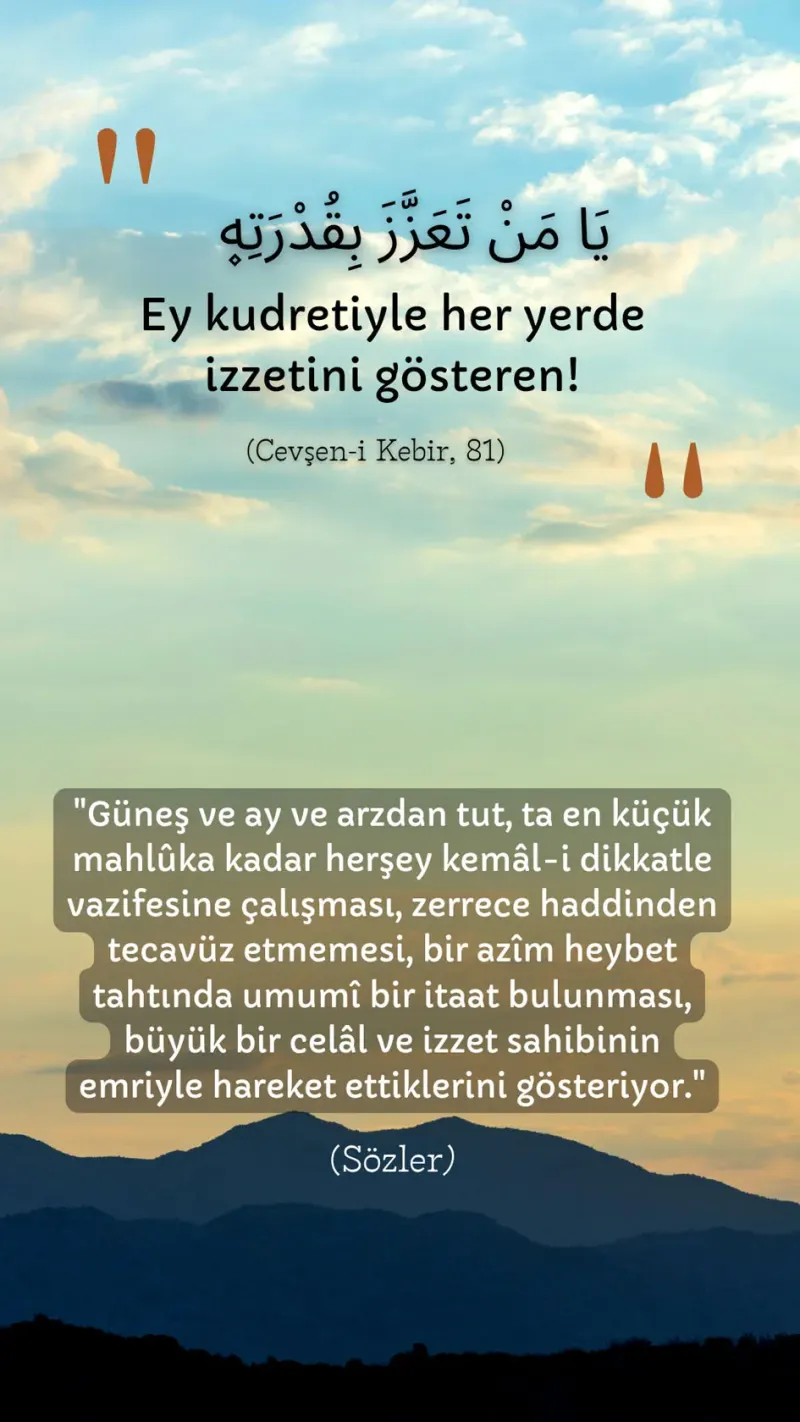 Vecize