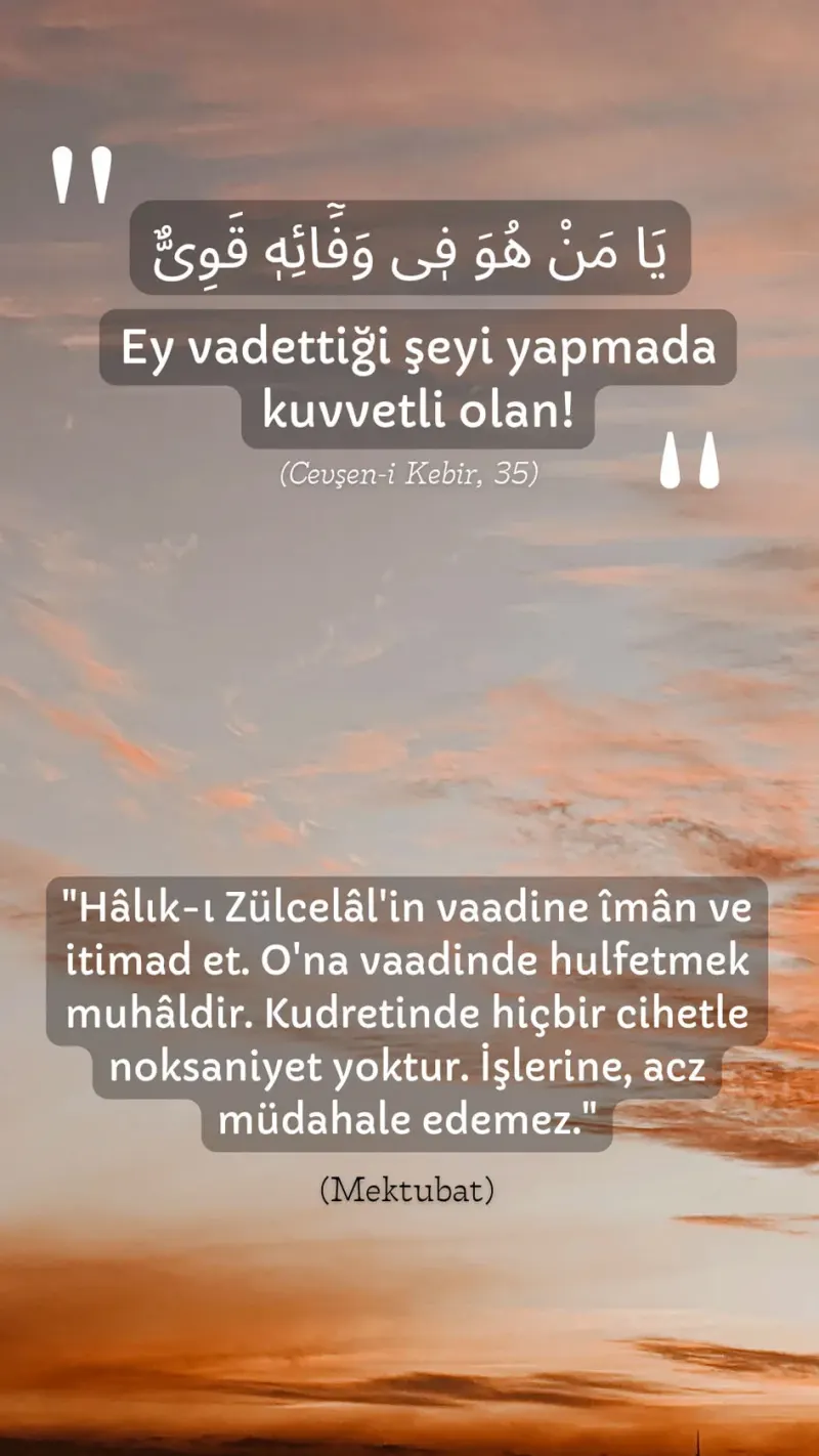 Vecize