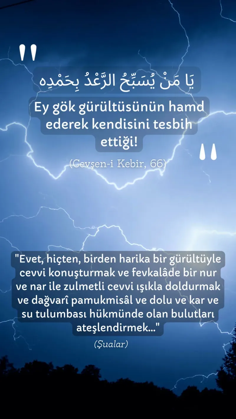 Vecize