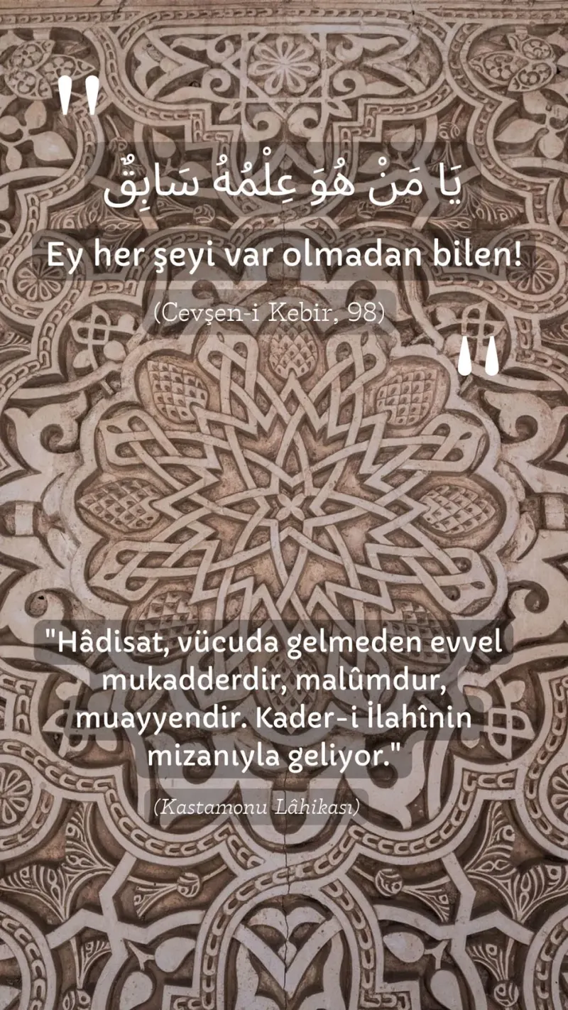 Vecize