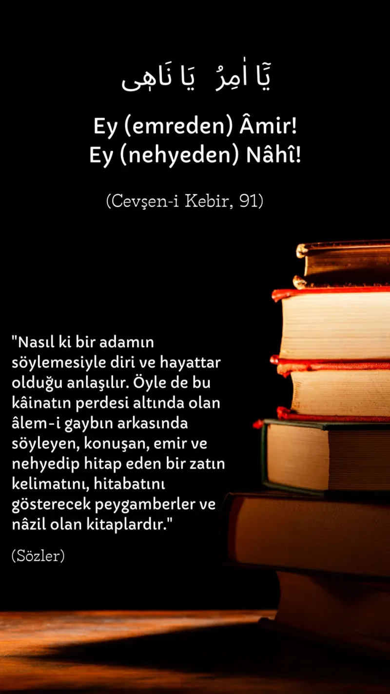 Vecize
