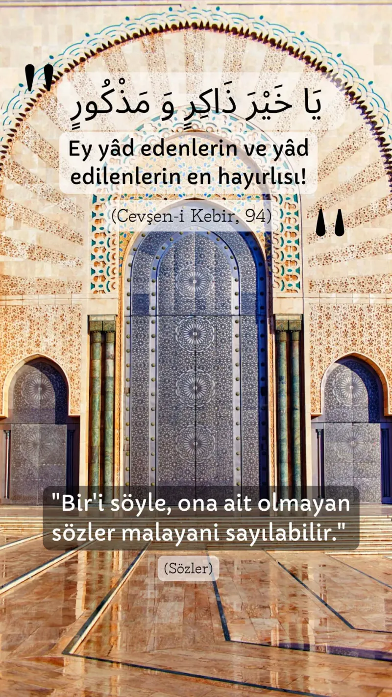 Vecize