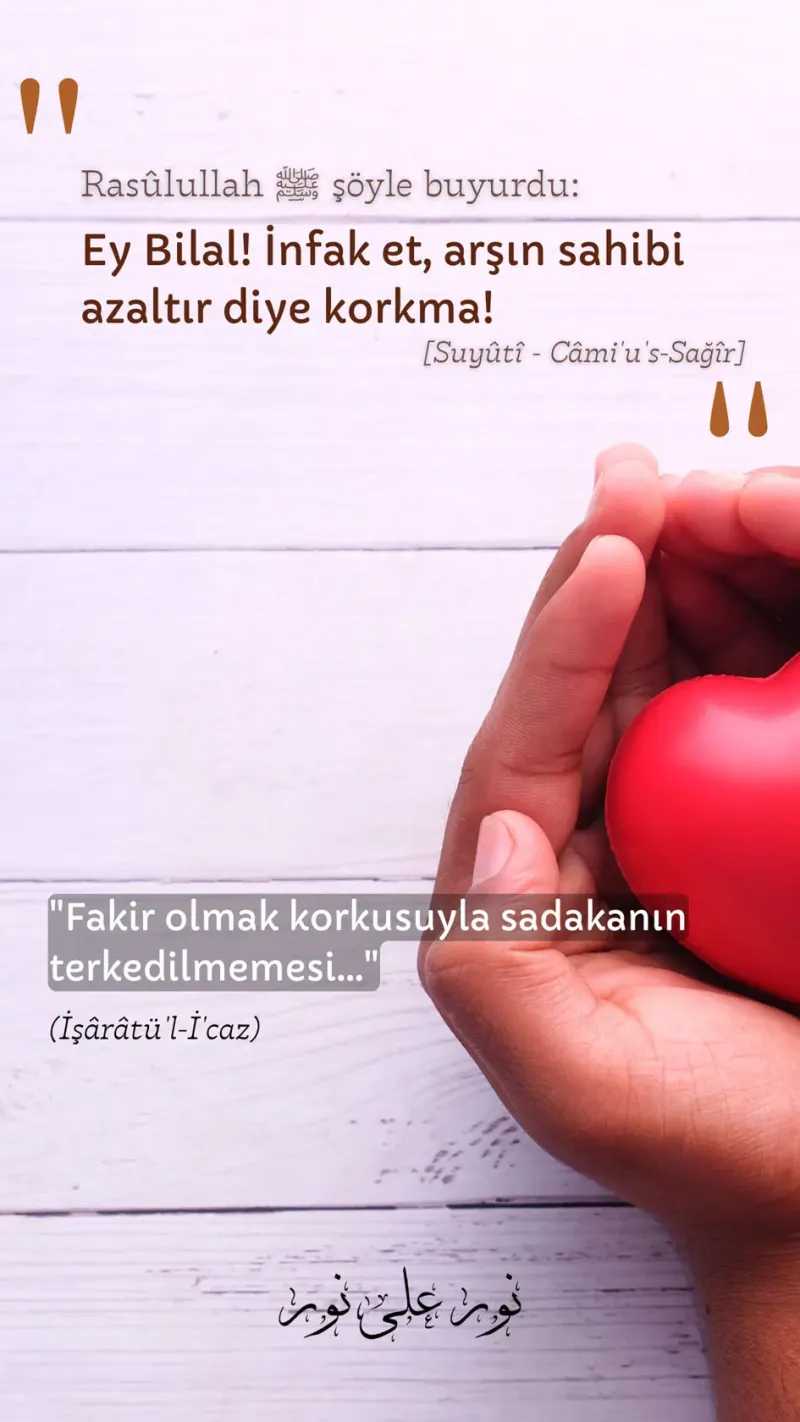 Vecize