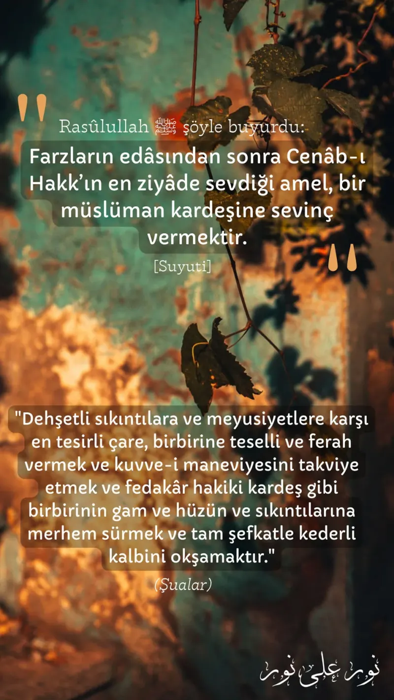 Vecize