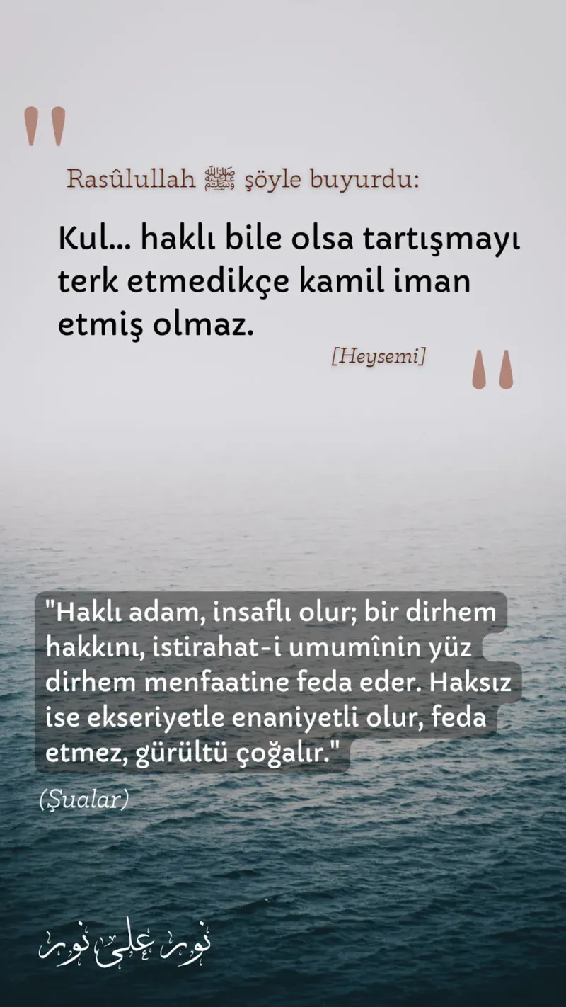 Vecize