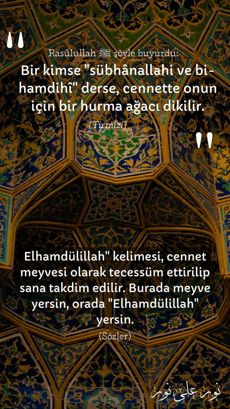Vecize