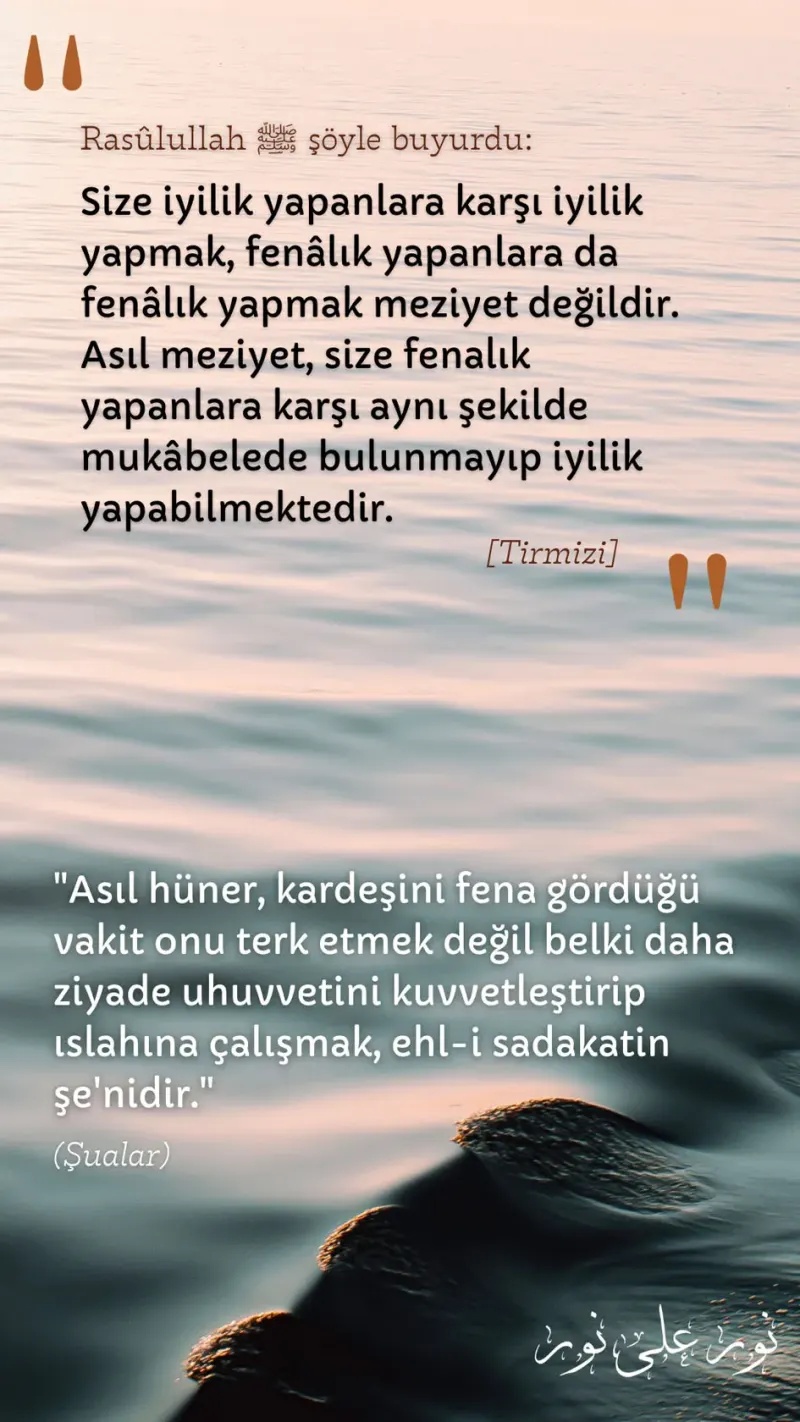 Vecize