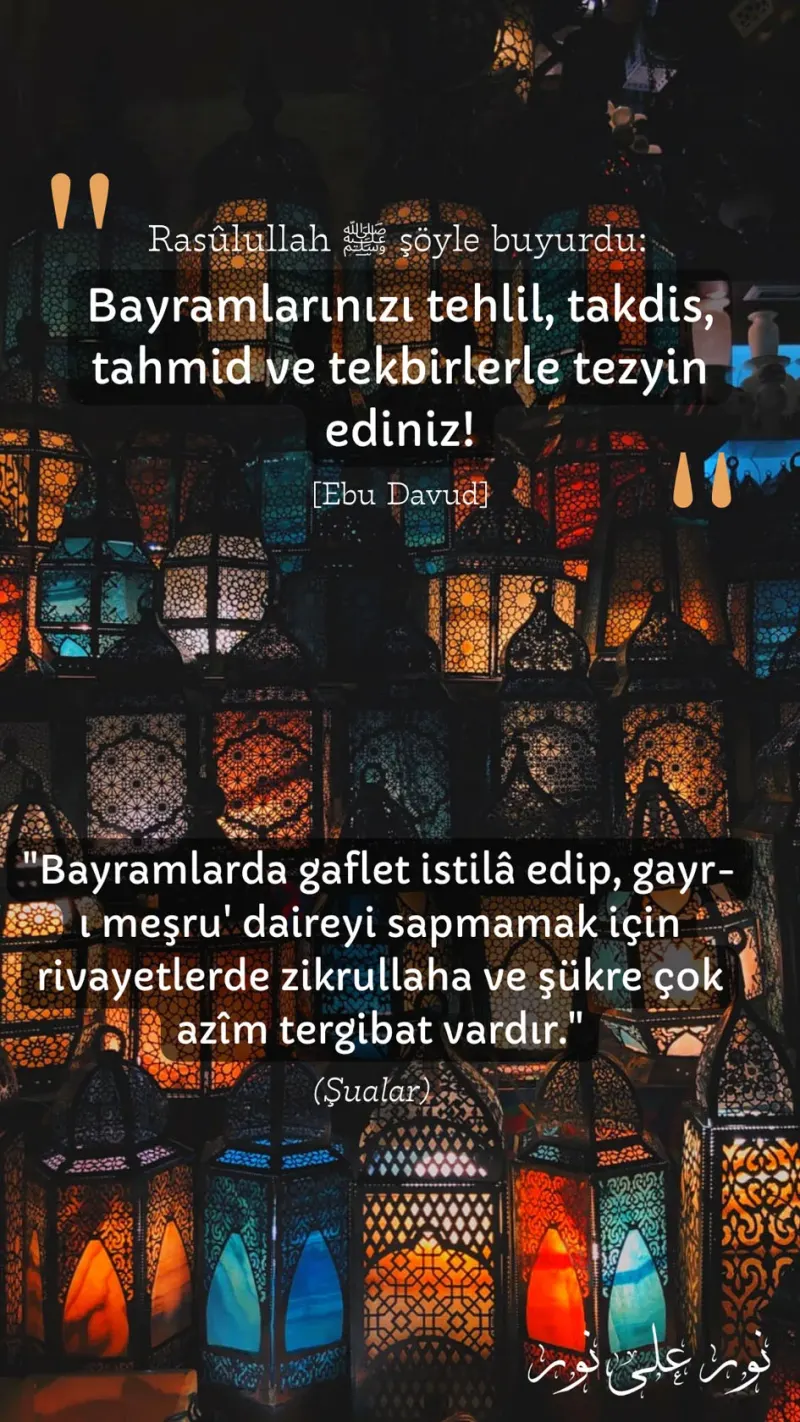 Vecize