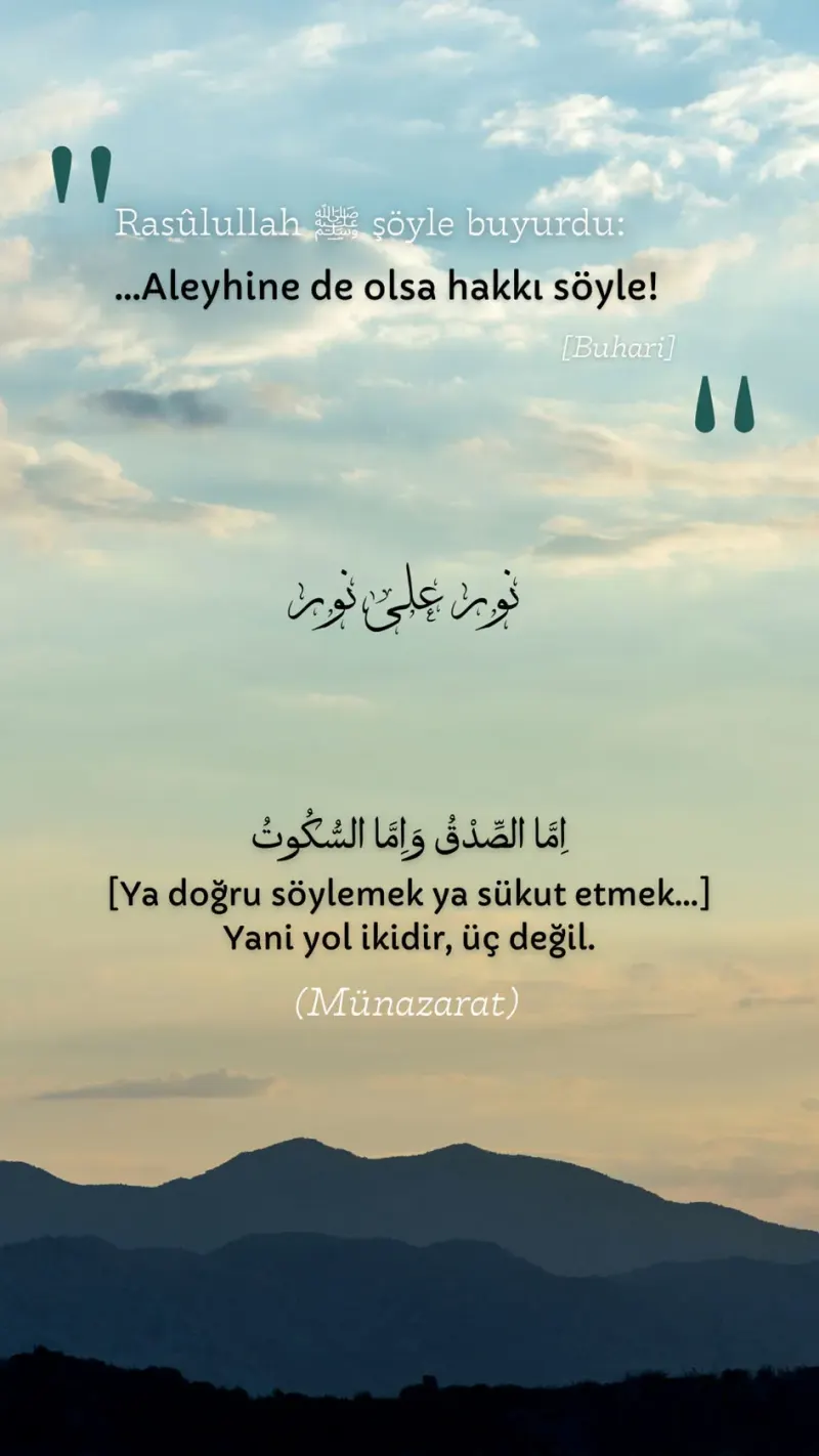 Vecize