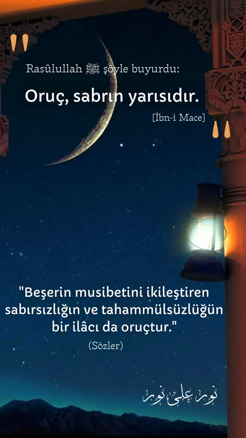 Vecize