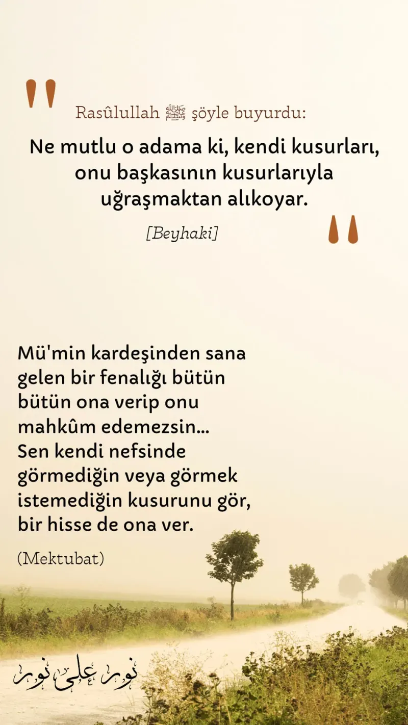Vecize