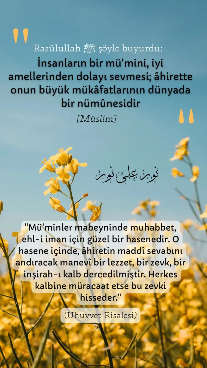 Vecize