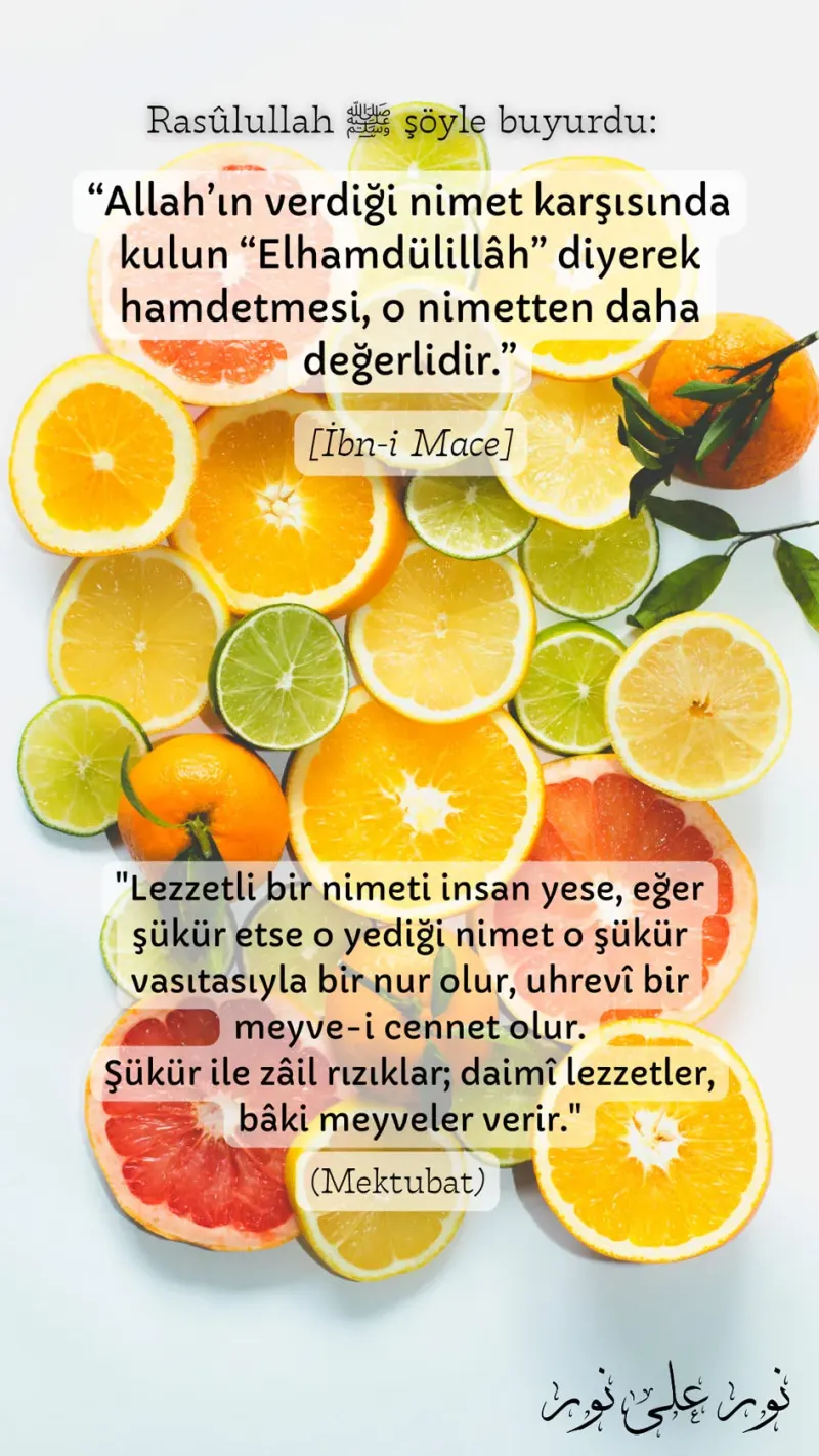Vecize