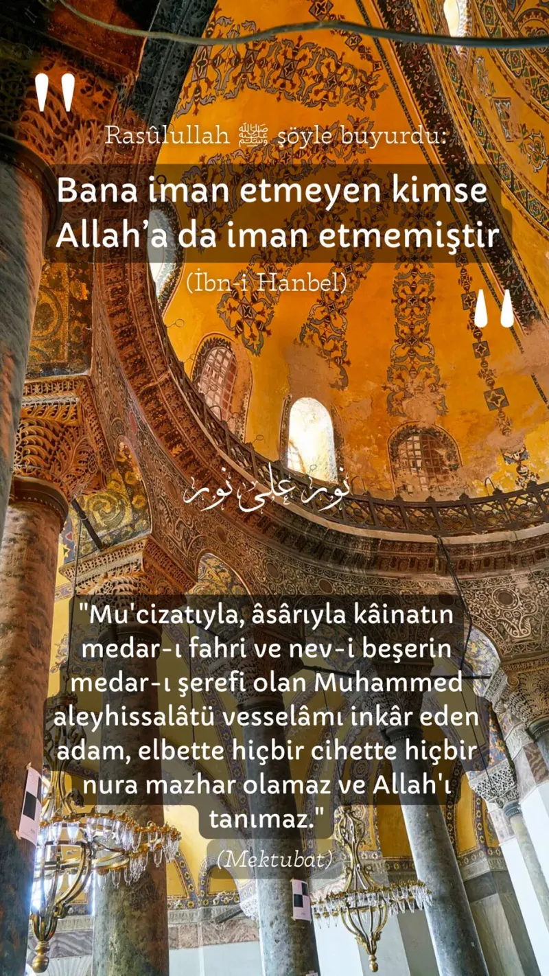 Vecize