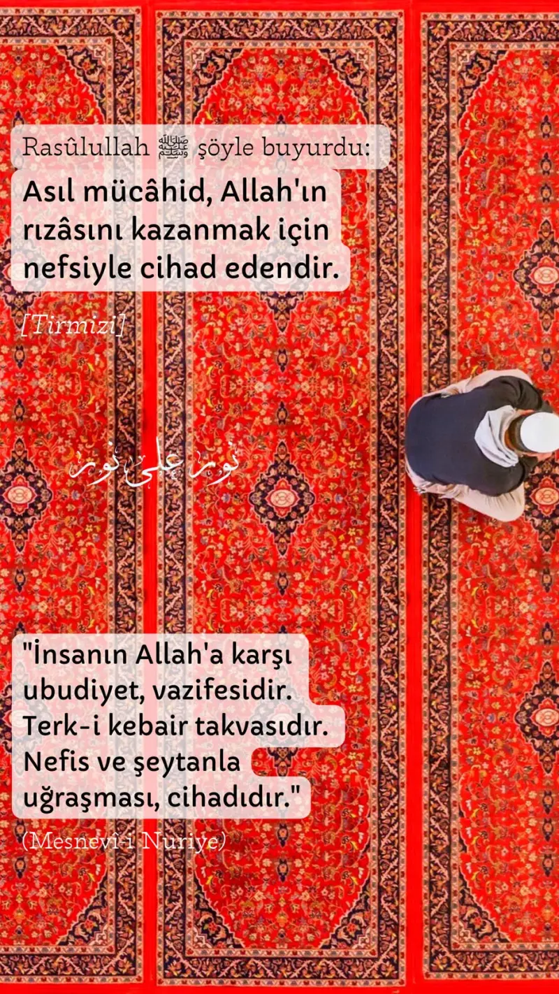 Vecize
