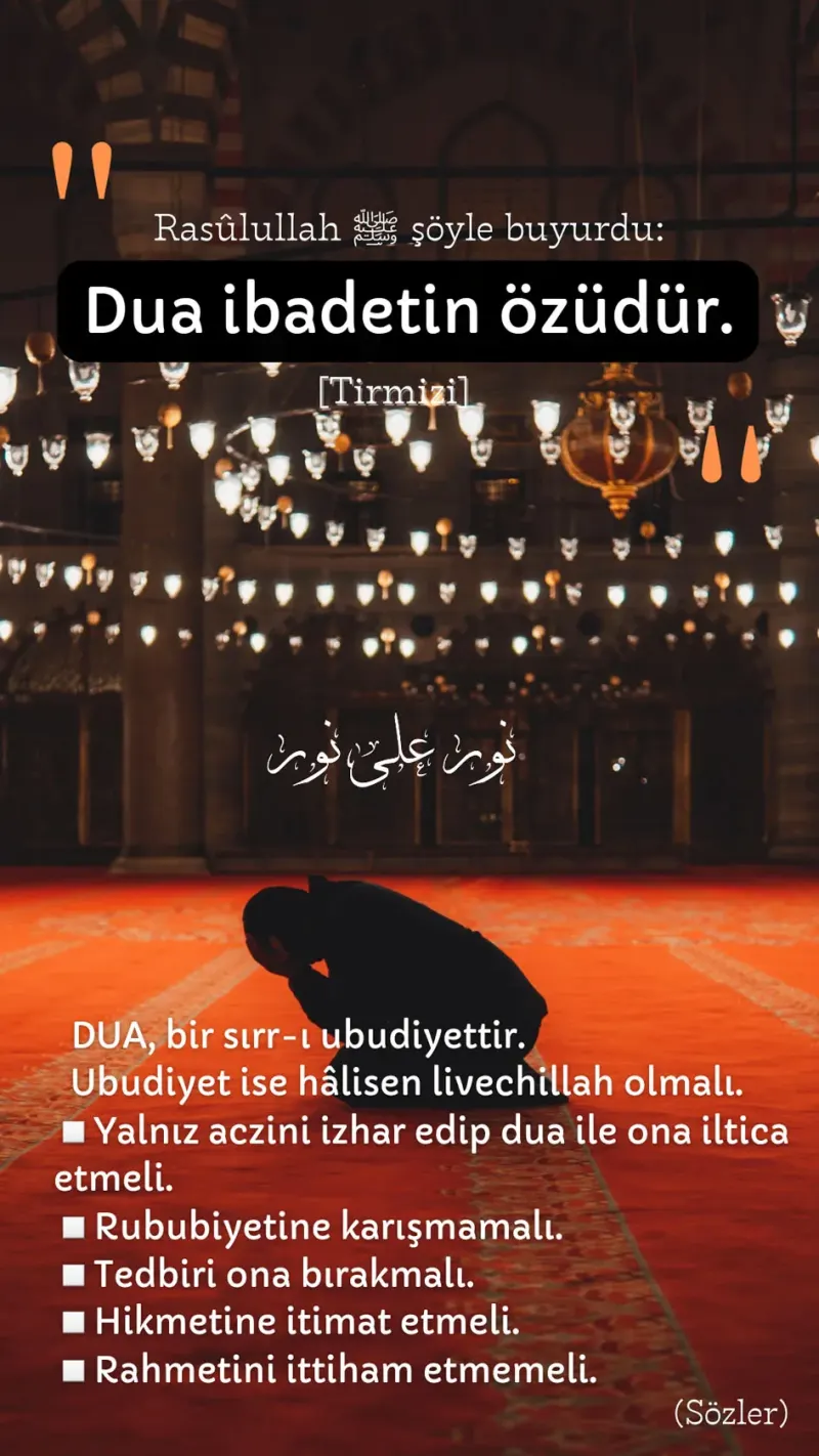 Vecize