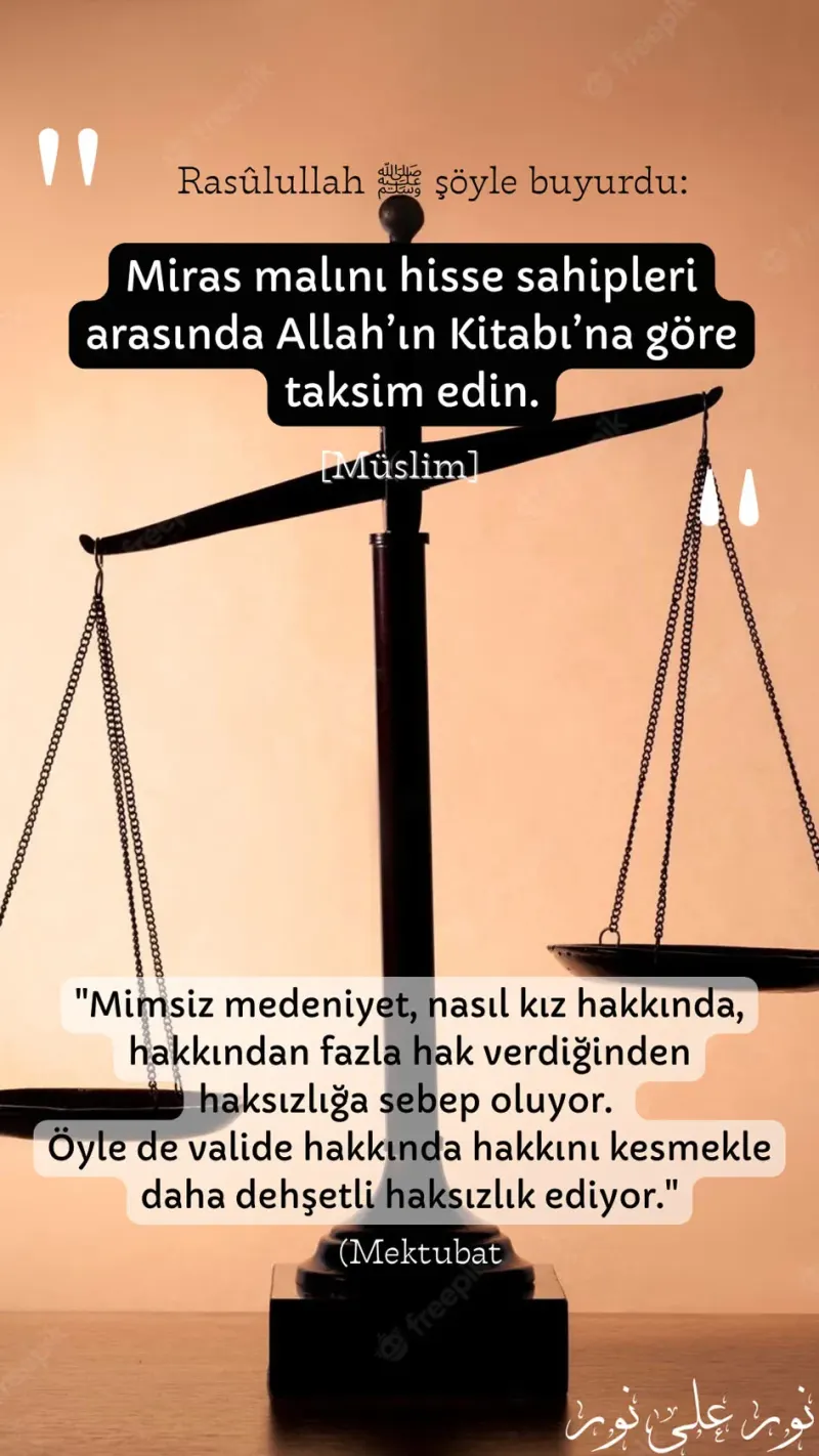 Vecize