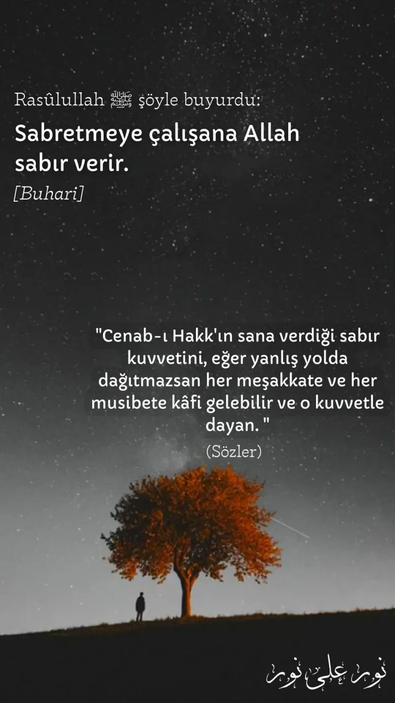 Vecize