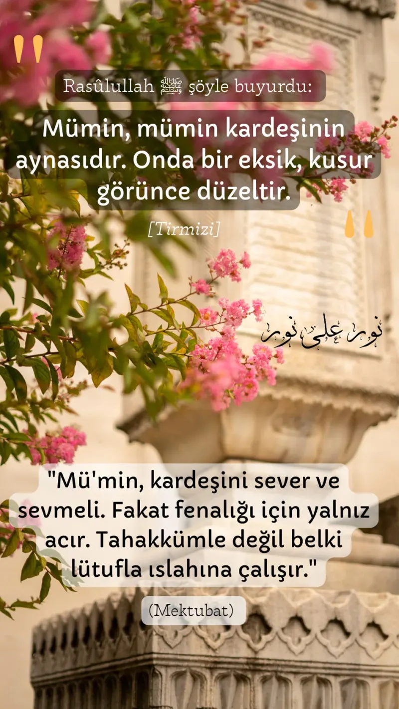 Vecize