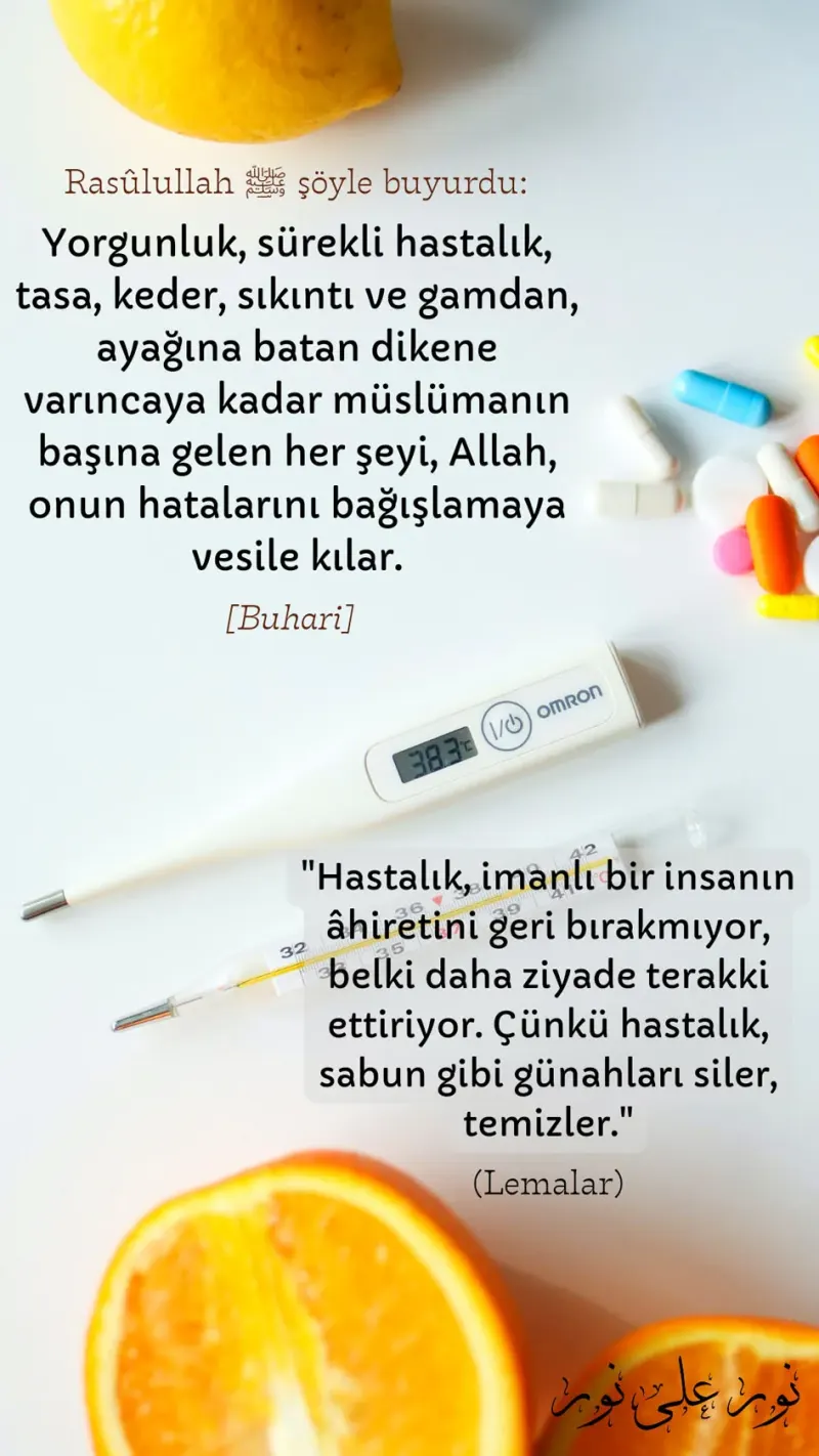 Vecize
