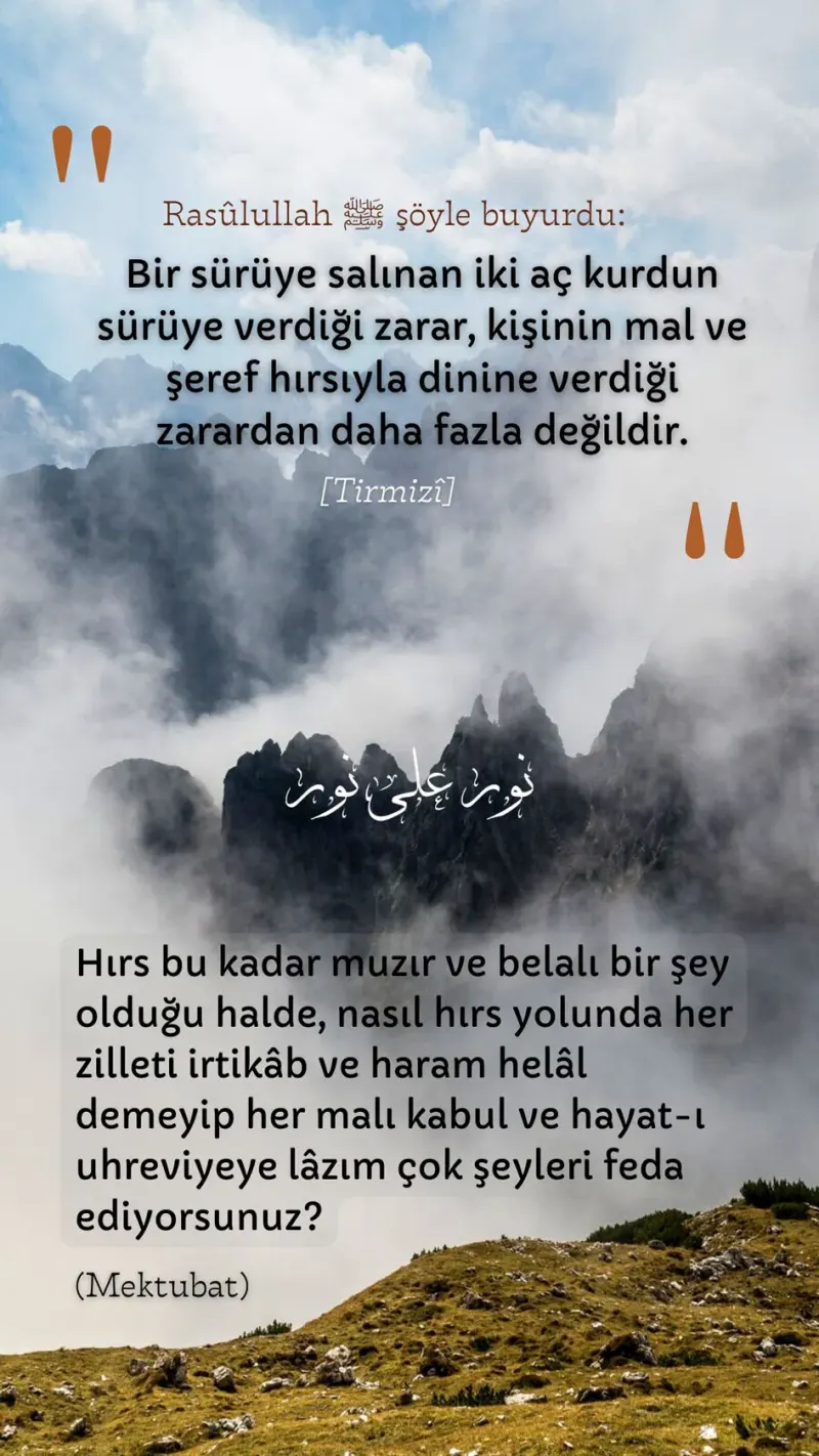 Vecize