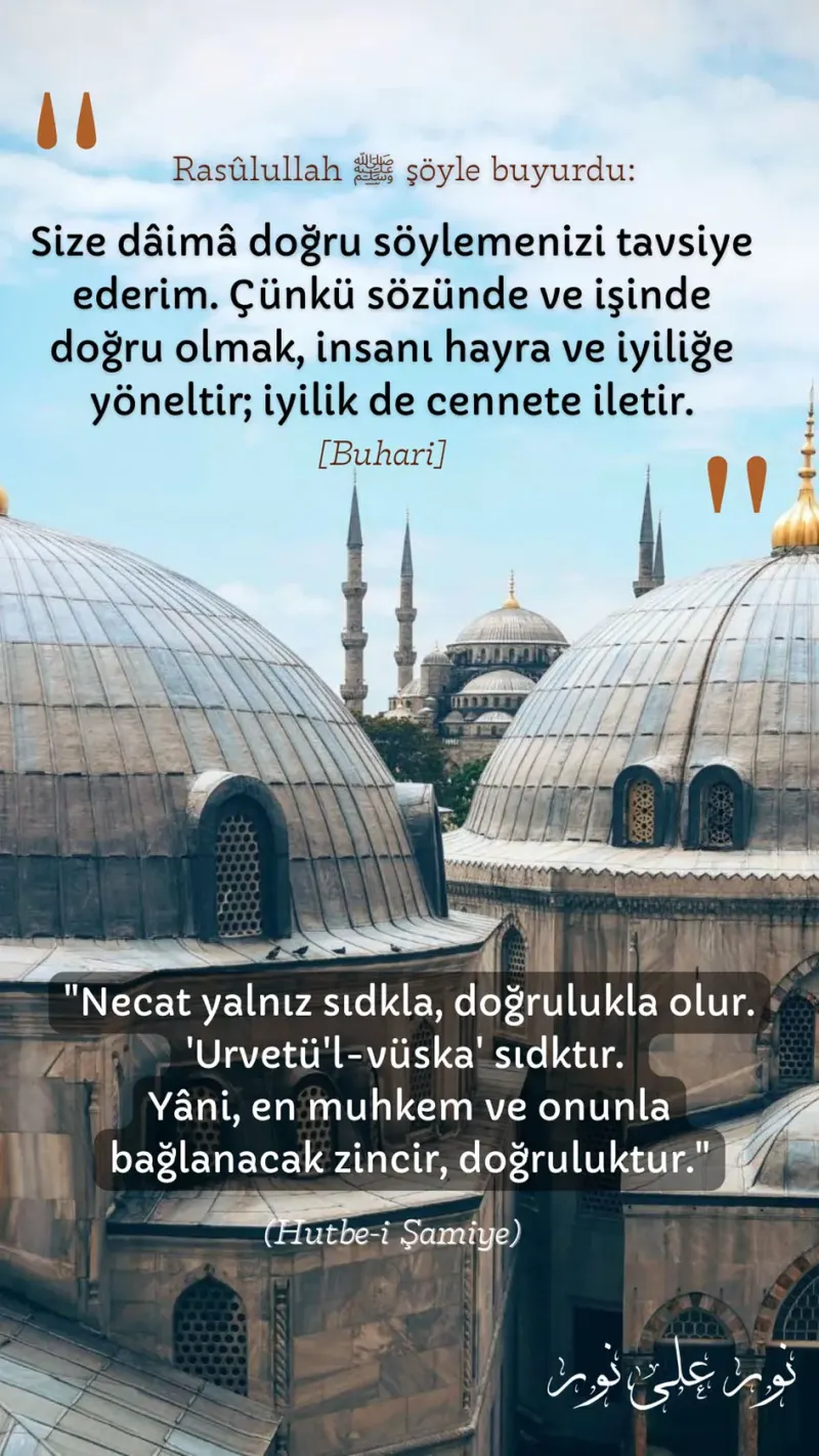 Vecize