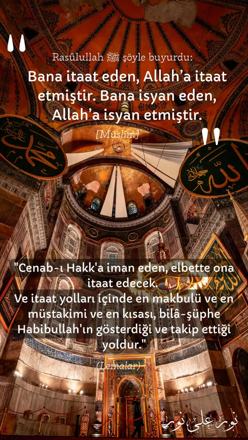 Vecize