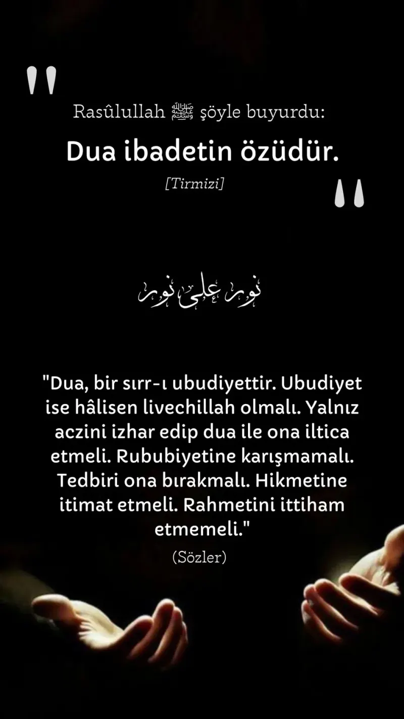 Vecize