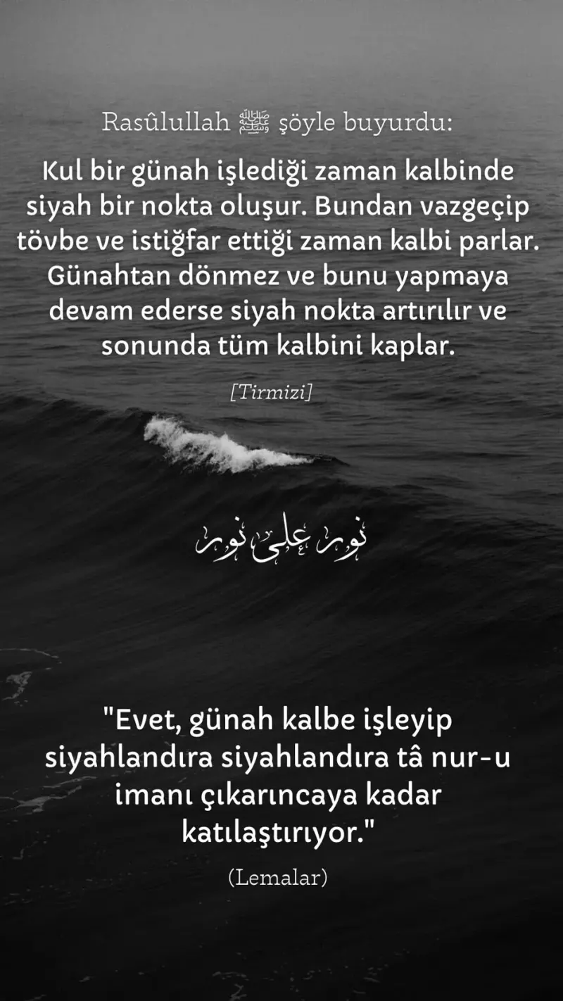 Vecize