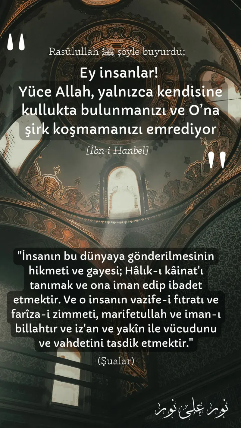 Vecize