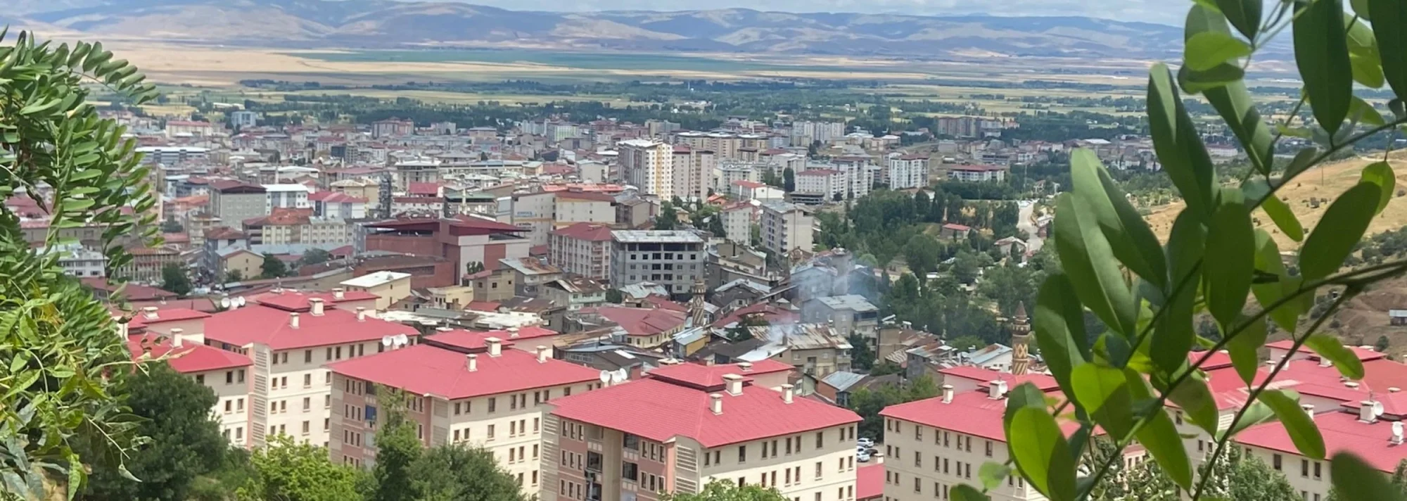 Muş'un Tarihçesi